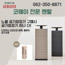 금호비데