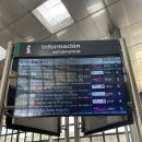 카디스 | [LA BIA SEVILLA🇪🇸] 🚄 세비야 , 카디스 렌페 이용 후기 (시간, 가격, 팁 정리)