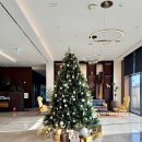 홍대전철역 KT옆 | 홍대 아만티호텔 서울 스탠다드 트윈룸 위치 좋은 가성비 4성급 호텔