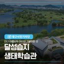 소리꾼 | 대구 여름방학 아이와 가볼만한곳 달성습지생태학습관 ‘여름 소리꾼 매미가 왔어요’ 체험 후기
