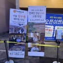 서면맛집 죠죠서면점 오코노미야끼 후기