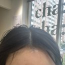 차미용실 | 동래 미용실 온천동 미용실 부산 미용실 아인 팀장님 후기 차메르 동래