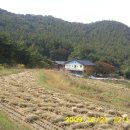 O.K 모텔 이미지