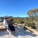 일등정비 | 시드니 블루마운틴 별 투어 내돈내산 후기 | 날씨별 옷차림·투어 비교