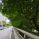 서산해신낙지