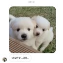 여름시작