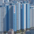 조은동물병원 미용실 이미지