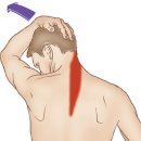 블레스짐 이미지