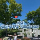 서천 무료경로식당 이미지