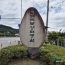장터진땡이 | 2024 칠곡 낙동강 평화축제/칠곡보 축제 초대가수 일정/셔틀버스/주차 왜관 가볼만한곳