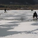 용곡지 Daum카페