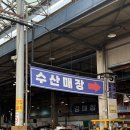 강화수 | 강서수산물시장 강화수산 활어회 오마카세 좋아하세요?