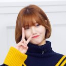 미미록 이미지