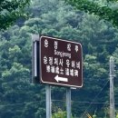 수곡용계로(길안면) 이미지