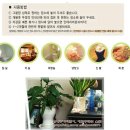 에코후레쉬 이미지