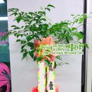 해피레져산업 이미지