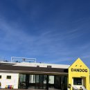 단독 dandog 이미지