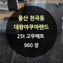 대왕아쿠아랜드 네이버블로그