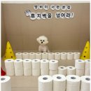 부산애견호텔 강아지 유치원 맘바이 서면본점 이미지