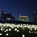 동대문 DDP LED장미정원 2만여송이의 장미의 아름다움[서울야경/동대문DDP야경] 이미지