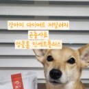 엉클플러스 이미지