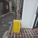 [서울/성수][맛집탐방] 카레는 사랑이야, 어제의 카레(성수 Lab)