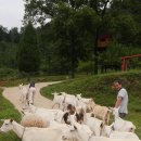 해원목장 이미지