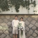 비비엔다 이미지
