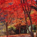 수성대 화장실 이미지