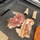 용고기뷔페 | 천안 : 푸고 천안두정점 / 무제한고기뷔페 솔직후기 🥱