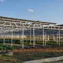 원광 태양광발전소 이미지