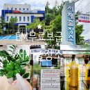 다사읍 행정복지센터 서재출장소 | 다사 행정복지센터 서재 출장소: 친환경 실천 EM 용액 무료로 받기