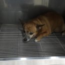 범어지구대 이미지