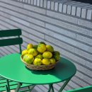 자파리203 이미지