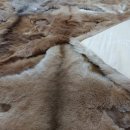 수선과 세탁 이미지