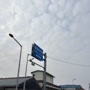 이조미가 | 남원 갈비 맛집 남원 광한루 맛집 남원 현지인 맛집 | 이조갈비