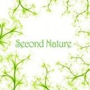 네이쳐 뮤직(Nature music) 이미지