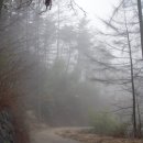 덕산이용원 - 산청군 덕산대포로 7 | 덕산이용원