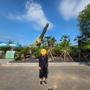 (주)해남건설 | 우항리 공룡박물관 - 해남군