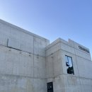 커피샵() | [강릉 여행]테라로사 커피공장 본점_카페 포토존,베이커리,소품샵 후기