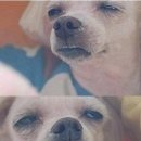 그리다교동 이미지