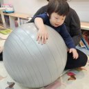 짐볼밴드 | 짐볼 임산부짐볼 필라테스짐볼 짐볼추천 멜킨 그랜드 짐볼 + 루프밴드 세트 리얼 사용후기