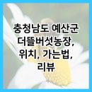 더뜰 이미지