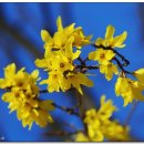 동복야구장 야구장 이미지