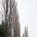 화랑대 철도공원 이미지