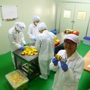 (주)공푸드 이미지