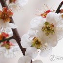 대구장동초등학교 이미지