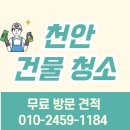 봉황중심상가 화장실 | 천안 상가 건물 청소 후기 | 불당동 두정동 성정동 상가 공용공간 화장실 청소 현장