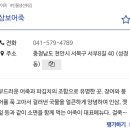 삼보리본