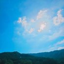 아버지의 숲 산정캠프 | 20250926~28 포천 아버지의 숲 산정 캠프 원앙새둥지